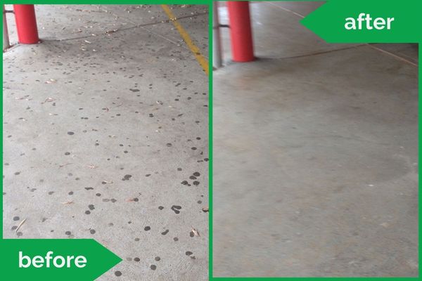Concrete Walkway Pressure Cleaning Before Vs After