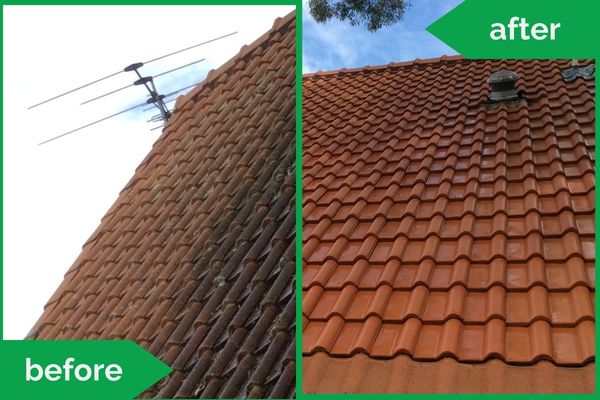 Residential Terracotta Roof Tiles Pressure Cleaning Before Vs After
